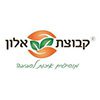 ALON GROUP